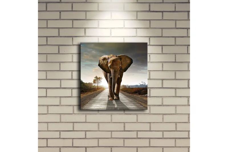 Canvastavla med LED-belysning 28x28 cm - Elefant som går längs en väg i solnedgången - Grå / Brun / Orange - Inredning - Tavlor & posters - Canvastavla