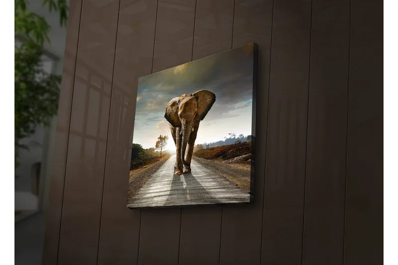 Canvastavla med LED-belysning 28x28 cm - Elefant som går längs en väg i solnedgången - Grå / Brun / Orange - Inredning - Tavlor & posters - Canvastavla