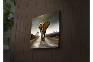 Canvastavla med LED-belysning 28x28 cm - Elefant som går längs en väg i solnedgången - Grå / Brun / Orange - Inredning - Tavlor & posters - Canvastavla