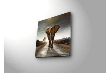 Canvastavla med LED-belysning 28x28 cm - Elefant som g�år längs en väg i solnedgången - Grå / Brun / Orange - Inredning - Tavlor & posters - Canvastavla
