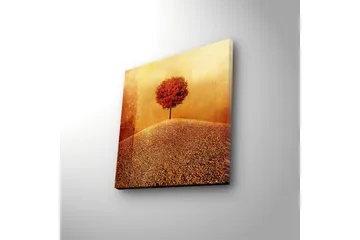 Canvastavla med LED-belysning 28x28 cm - Ensam röd träd på en gyllene kulle - Röd / Guld / Beige - Inredning - Tavlor & posters - Canvastavla