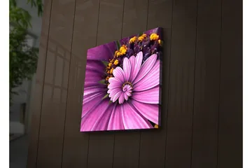 Canvastavla med LED-belysning 28x28 cm - Färgglad blomma med rosa och lila kronblad - Rosa / Lila / Gult - Inredning - Tavlor & posters - Canvastavla