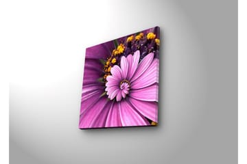 Canvastavla med LED-belysning 28x28 cm - Färgglad blomma med rosa och lila kronblad - Rosa / Lila / Gult - Inredning - Tavlor & posters - Canvastavla