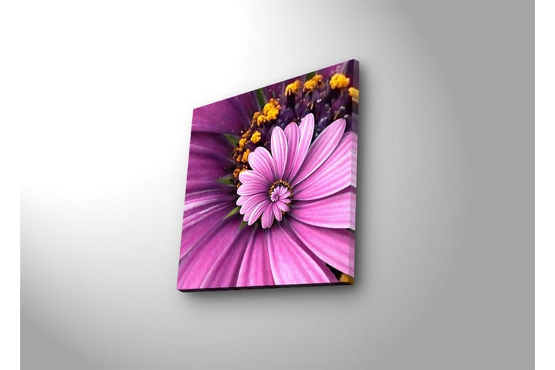 Canvastavla med LED-belysning 28x28 cm - Färgglad blomma med rosa och lila kronblad - Rosa / Lila / Gult - Inredning - Tavlor & posters - Canvastavla