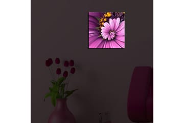Canvastavla med LED-belysning 28x28 cm - Färgglad blomma med rosa och lila kronblad - Rosa / Lila / Gult - Inredning - Tavlor & posters - Canvastavla