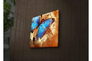 Canvastavla med LED-belysning 28x28 cm - Färgglad fjäril med blå vingar - Blå / Orange / Beige - Inredning - Tavlor & posters - Canvastavla