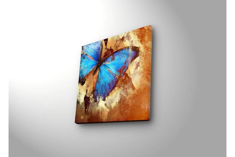 Canvastavla med LED-belysning 28x28 cm - Färgglad fjäril med blå vingar - Blå / Orange / Beige - Inredning - Tavlor & posters - Canvastavla