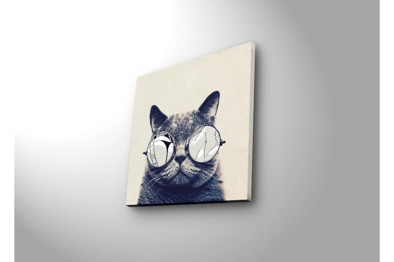 Canvastavla med LED-belysning 28x28 cm - Katt med solglasögon - Grå / Vit / Svart - Inredning - Tavlor & posters - Canvastavla