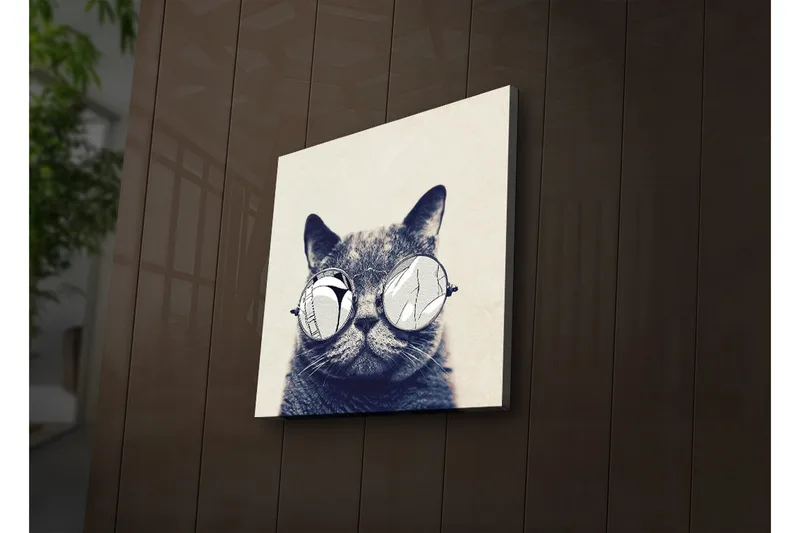 Canvastavla med LED-belysning 28x28 cm - Katt med solglasögon - Grå / Vit / Svart - Inredning - Tavlor & posters - Canvastavla
