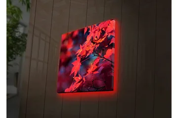 Canvastavla med LED-belysning 28x28 cm - Klar röd lönnlöv i höstfärger - Röd / Orange / Mörkblå - Inredning - Tavlor & posters - Canvastavla