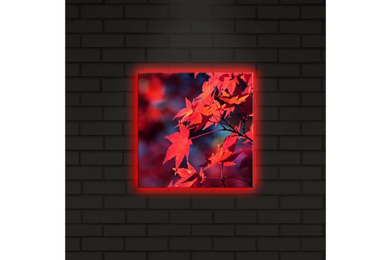 Canvastavla med LED-belysning 28x28 cm - Klar röd lönnlöv i höstfärger - Röd / Orange / Mörkblå - Inredning - Tavlor & posters - Canvastavla