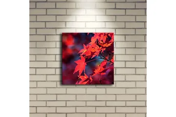 Canvastavla med LED-belysning 28x28 cm - Klar röd lönnlöv i höstfärger - Röd / Orange / Mörkblå - Inredning - Tavlor & posters - Canvastavla