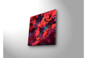 Canvastavla med LED-belysning 28x28 cm - Klar röd lönnlöv i höstfärger - Röd / Orange / Mörkblå - Inredning - Tavlor & posters - Canvastavla