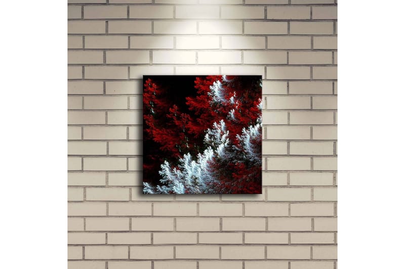 Canvastavla med LED-belysning 28x28 cm - Ljus och mörk skog med röda och vita inslag - Röd / Vit - Inredning - Tavlor & posters - Canvastavla