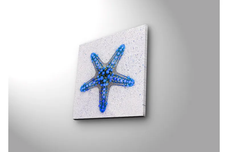 Canvastavla med LED-belysning 28x28 cm - Stjärna av havet i blå nyanser - Blå / Ljusblå / Beige - Inredning - Tavlor & posters - Canvastavla