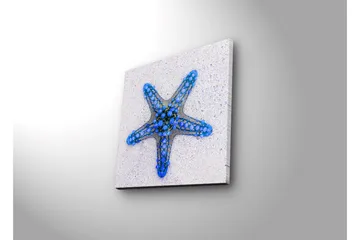 Canvastavla med LED-belysning 28x28 cm - Stjärna av havet i blå nyanser - Blå / Ljusblå / Beige - Inredning - Tavlor & posters - Canvastavla