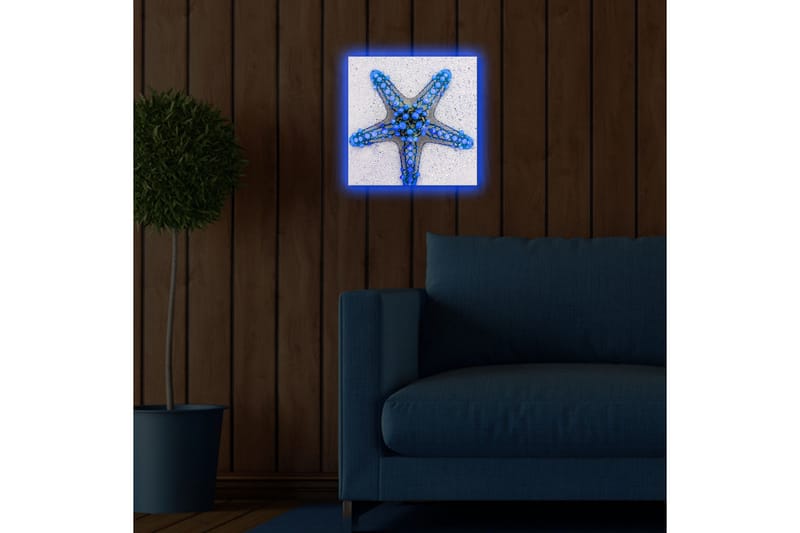 Canvastavla med LED-belysning 28x28 cm - Stjärna av havet i blå nyanser - Blå / Ljusblå / Beige - Inredning - Tavlor & posters - Canvastavla