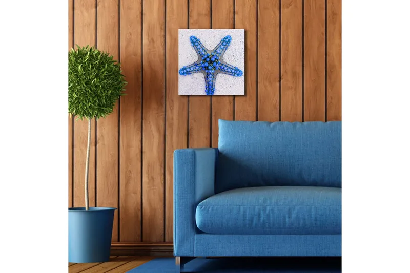 Canvastavla med LED-belysning 28x28 cm - Stjärna av havet i blå nyanser - Blå / Ljusblå / Beige - Inredning - Tavlor & posters - Canvastavla