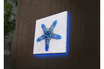 Canvastavla med LED-belysning 28x28 cm - Stjärna av havet i blå nyanser - Blå / Ljusblå / Beige - Inredning - Tavlor & posters - Canvastavla