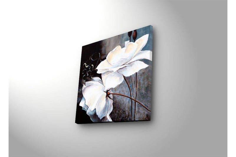 Canvastavla med LED-belysning 28x28 cm - Vita blommor med eleganta detaljer - Vit / Grå / Brun - Inredning - Tavlor & posters - Canvastavla