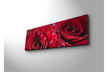 Canvastavla med LED-belysning 30x90 cm - Djupa röda rosor med vattendroppar - Röd / Grön - Inredning - Tavlor & posters - Canvastavla