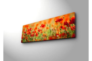 Canvastavla med LED-belysning 30x90 cm - Fält av röda vallmo-blommor i en grönskande omgivning - Röd / Grön / Orange - Inredning - Tavlor & posters - Canvastavla