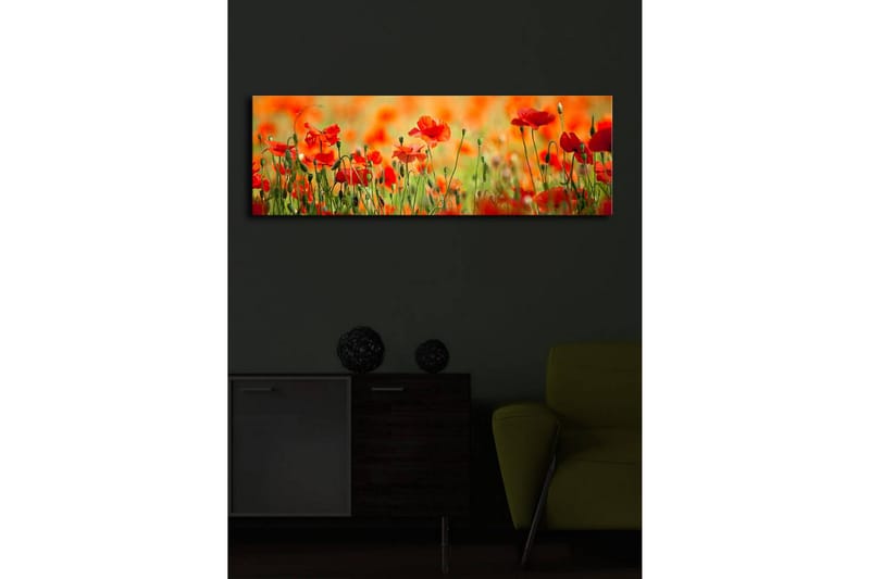 Canvastavla med LED-belysning 30x90 cm - Fält av röda vallmo-blommor i en grönskande omgivning - Röd / Grön / Orange - Inredning - Tavlor & posters - Canvastavla