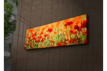 Canvastavla med LED-belysning 30x90 cm - Fält av röda vallmo-blommor i en grönskande omgivning - Röd / Grön / Orange - Inredning - Tavlor & posters - Canvastavla