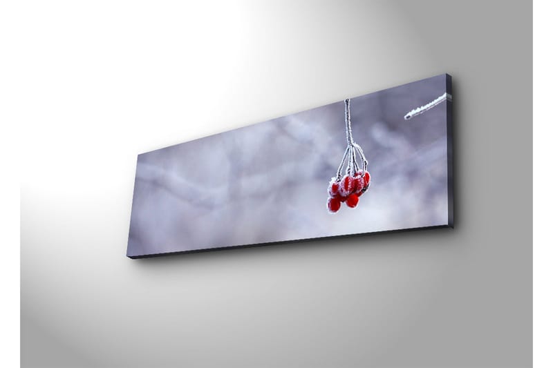 Canvastavla med LED-belysning 30x90 cm - Frostiga bär hängande från en gren - Röd / Grå / Vit - Inredning - Tavlor & posters - Canvastavla