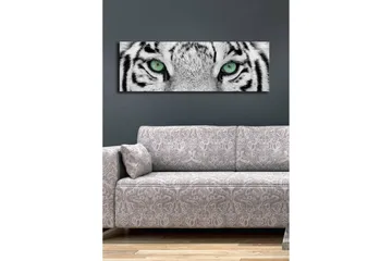 Canvastavla med LED-belysning 30x90 cm - Närbild av en vit tigers ögon med intensiva detaljer - Vit / Svart / Grön - Inredning - Tavlor & posters - Canvastavla