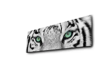 Canvastavla med LED-belysning 30x90 cm - Närbild av en vit tigers ögon med intensiva detaljer - Vit / Svart / Grön - Inredning - Tavlor & posters - Canvastavla