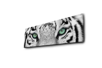 Canvastavla med LED-belysning 30x90 cm - Närbild av en vit tigers ögon med intensiva detaljer - Vit / Svart / Grön - Inredning - Tavlor & posters - Canvastavla