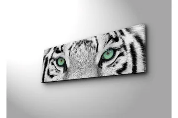 Canvastavla med LED-belysning 30x90 cm - Närbild av en vit tigers ögon med intensiva detaljer - Vit / Svart / Grön - Inredning - Tavlor & posters - Canvastavla