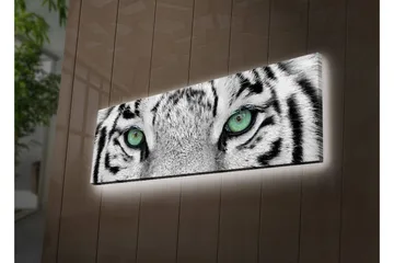 Canvastavla med LED-belysning 30x90 cm - Närbild av en vit tigers ögon med intensiva detaljer - Vit / Svart / Grön - Inredning - Tavlor & posters - Canvastavla