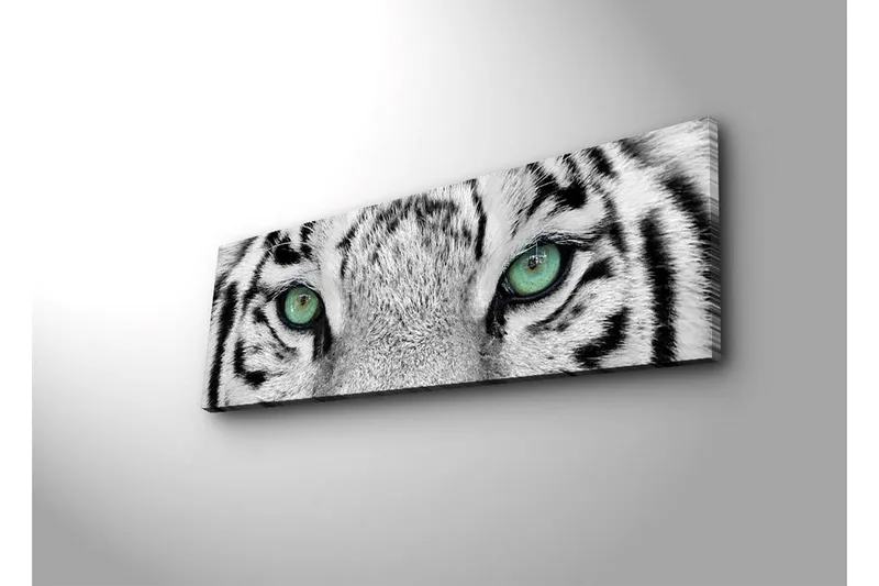Canvastavla med LED-belysning 30x90 cm - Närbild av en vit tigers ögon med intensiva detaljer - Vit / Svart / Grön - Inredning - Tavlor & posters - Canvastavla