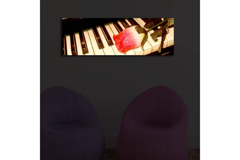 Canvastavla med LED-belysning 30x90 cm - Röd ros på ett piano med svarta och vita tangenter - Röd / Svart / Vit - Inredning - Tavlor & posters - Canvastavla