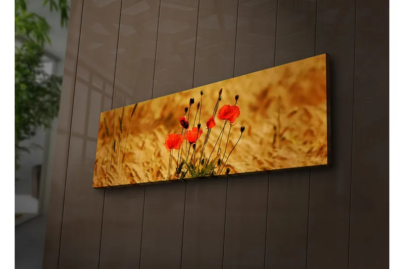 Canvastavla med LED-belysning 30x90 cm - Röd vallmo i gyllene fält - Röd / Guldbrun - Inredning - Tavlor & posters - Canvastavla