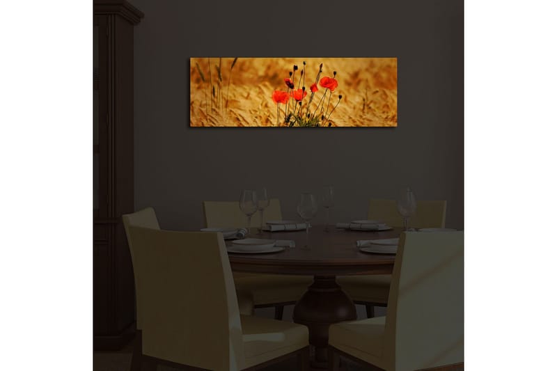 Canvastavla med LED-belysning 30x90 cm - Röd vallmo i gyllene fält - Röd / Guldbrun - Inredning - Tavlor & posters - Canvastavla