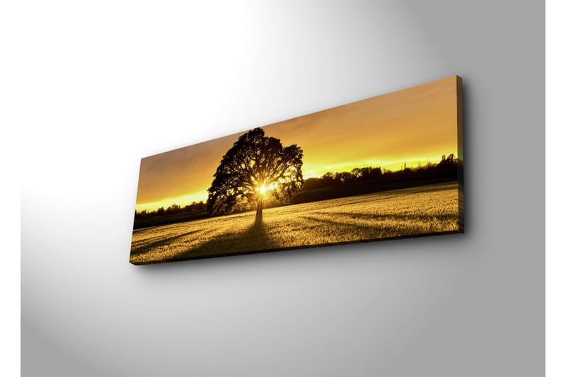 Canvastavla med LED-belysning 30x90 cm - Silhuett av ett träd mot en gyllene solnedgång - Guld / Svart / Grön - Inredning - Tavlor & posters - Canvastavla
