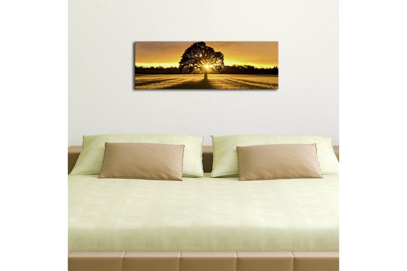 Canvastavla med LED-belysning 30x90 cm - Silhuett av ett träd mot en gyllene solnedgång - Guld / Svart / Grön - Inredning - Tavlor & posters - Canvastavla