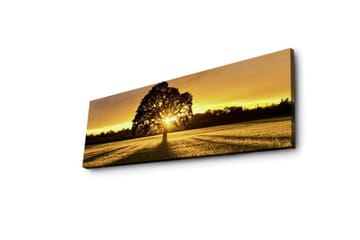 Canvastavla med LED-belysning 30x90 cm - Silhuett av ett träd mot en gyllene solnedgång - Guld / Svart / Grön - Inredning - Tavlor & posters - Canvastavla
