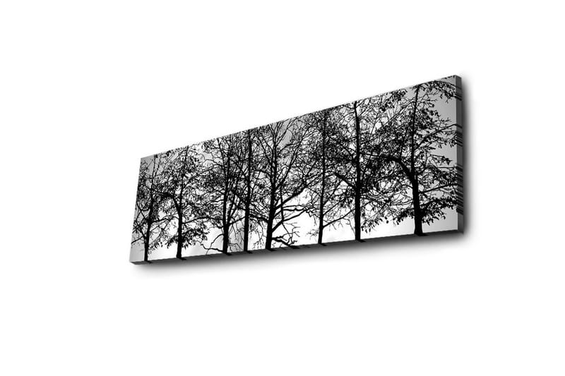 Canvastavla med LED-belysning 30x90 cm - Silhuett av träd i svartvitt - Svart / Vitt - Inredning - Tavlor & posters - Canvastavla