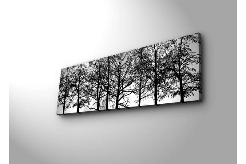 Canvastavla med LED-belysning 30x90 cm - Silhuett av träd i svartvitt - Svart / Vitt - Inredning - Tavlor & posters - Canvastavla