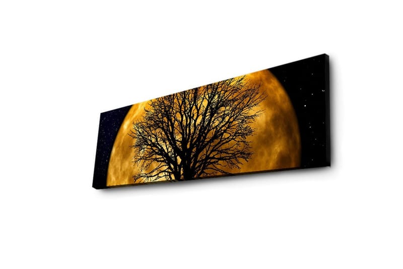 Canvastavla med LED-belysning 30x90 cm - Stämningsfullt motiv av en måne bakom ett silhuett av ett träd - Guld / Svart - Inredning - Tavlor & posters - Canvastavla