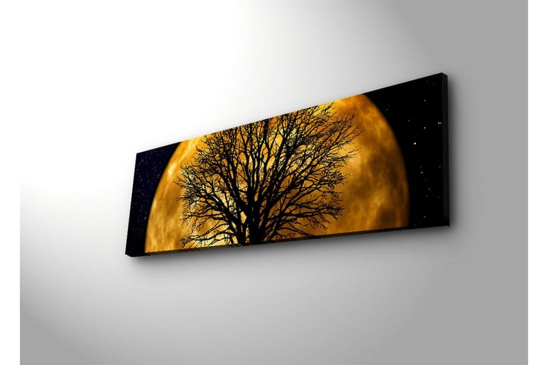 Canvastavla med LED-belysning 30x90 cm - Stämningsfullt motiv av en måne bakom ett silhuett av ett träd - Guld / Svart - Inredning - Tavlor & posters - Canvastavla