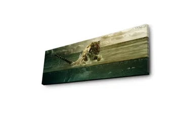 Canvastavla med LED-belysning 30x90 cm - Tiger som hoppar ur vattnet - Grön / Beige / Brun - Inredning - Tavlor & posters - Canvastavla