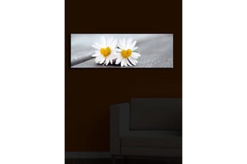 Canvastavla med LED-belysning 30x90 cm - Två vita prästkragar med gula mittar - Vit / Gul - Inredning - Tavlor & posters - Canvastavla