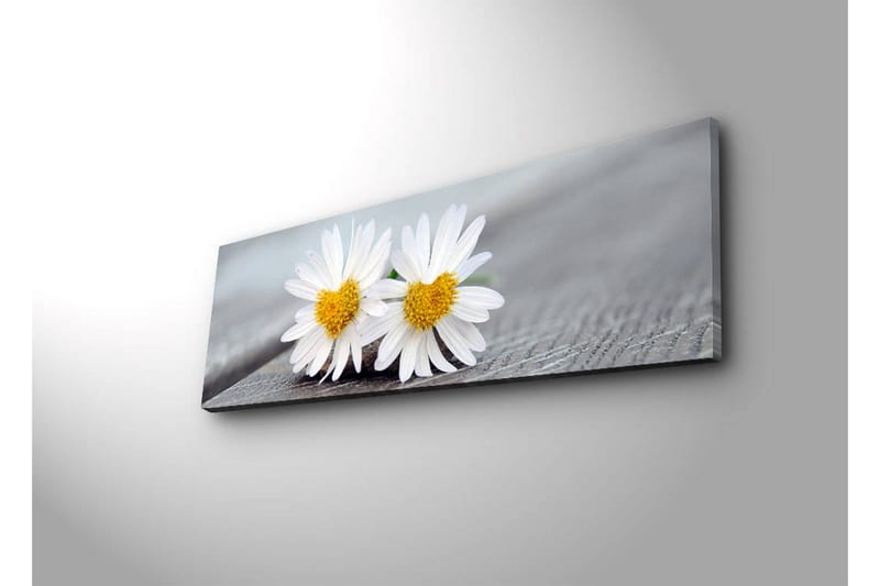 Canvastavla med LED-belysning 30x90 cm - Två vita prästkragar med gula mittar - Vit / Gul - Inredning - Tavlor & posters - Canvastavla