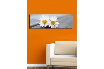 Canvastavla med LED-belysning 30x90 cm - Två vita prästkragar med gula mittar - Vit / Gul - Inredning - Tavlor & posters - Canvastavla