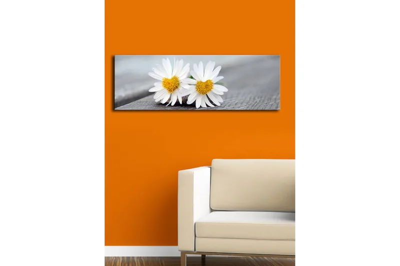 Canvastavla med LED-belysning 30x90 cm - Två vita prästkragar med gula mittar - Vit / Gul - Inredning - Tavlor & posters - Canvastavla